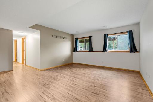 Basement living room