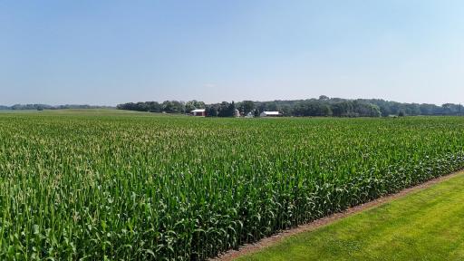 dji_fly_20250714_110432_0668_1752511974738_photo.jpg