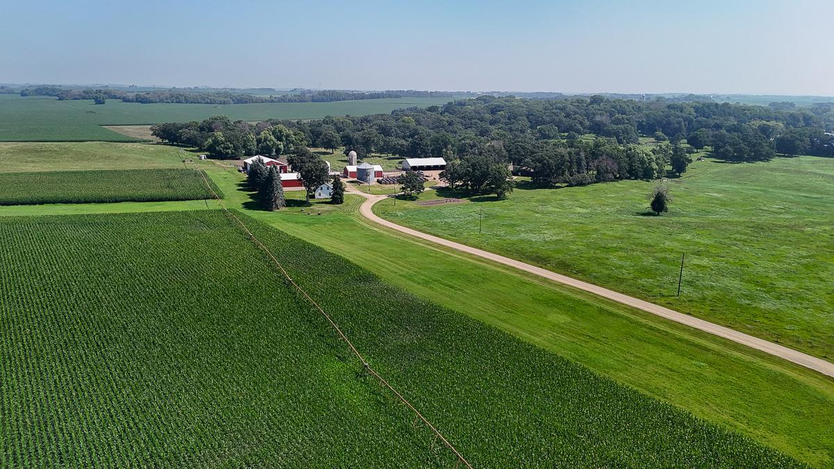 dji_fly_20250714_110222_0652_1752511979284_photo.jpg