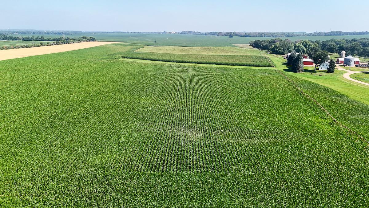 dji_fly_20250714_110220_0651_1752511979691_photo.jpg