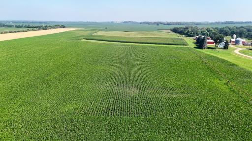 dji_fly_20250714_110220_0651_1752511979691_photo.jpg