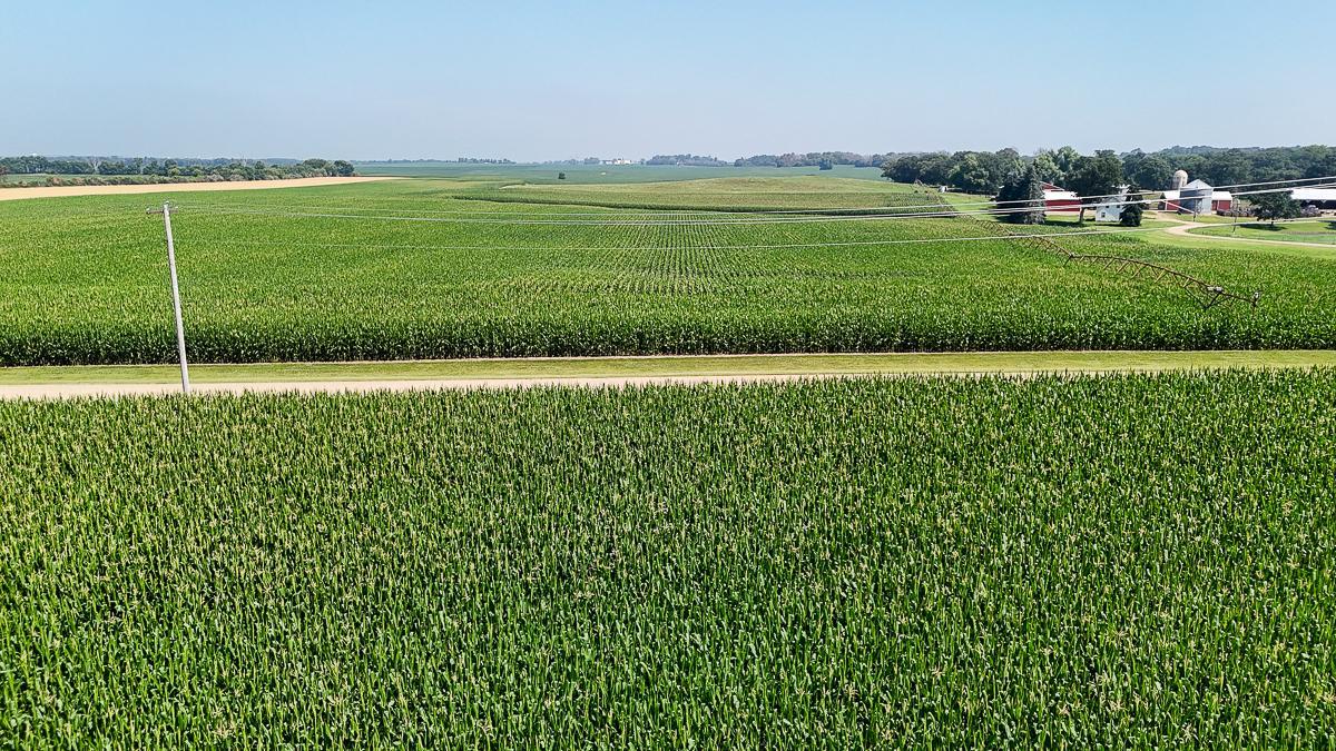 dji_fly_20250714_110216_0650_1752511980042_photo.jpg