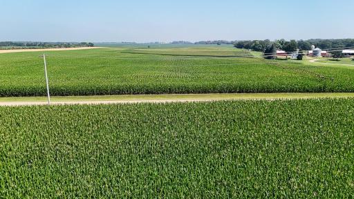 dji_fly_20250714_110216_0650_1752511980042_photo.jpg