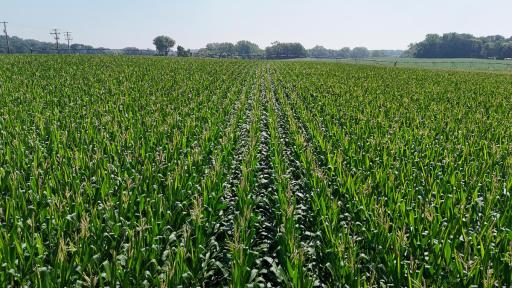 dji_fly_20250714_110212_0649_1752511980353_photo.jpg