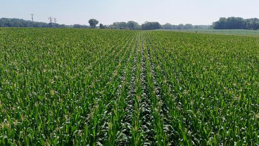 dji_fly_20250714_110210_0648_1752511980695_photo.jpg