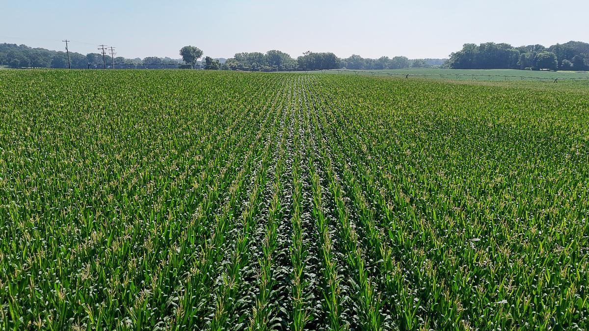 dji_fly_20250714_110208_0647_1752511981042_photo.jpg