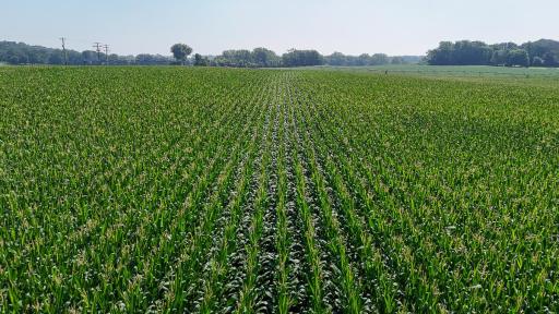 dji_fly_20250714_110208_0647_1752511981042_photo.jpg