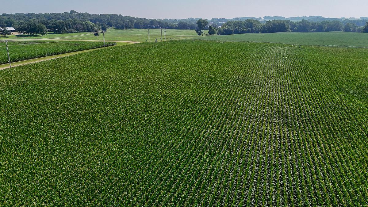 dji_fly_20250714_110200_0646_1752511981429_photo.jpg