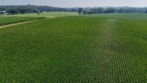 dji_fly_20250714_110200_0646_1752511981429_photo.jpg