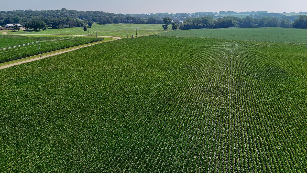 dji_fly_20250714_110158_0645_1752511981837_photo.jpg