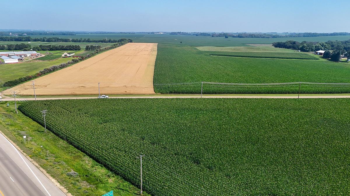 dji_fly_20250714_110150_0644_1752511982150_photo.jpg