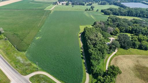 dji_fly_20250714_110052_0637_1752511984171_photo.jpg