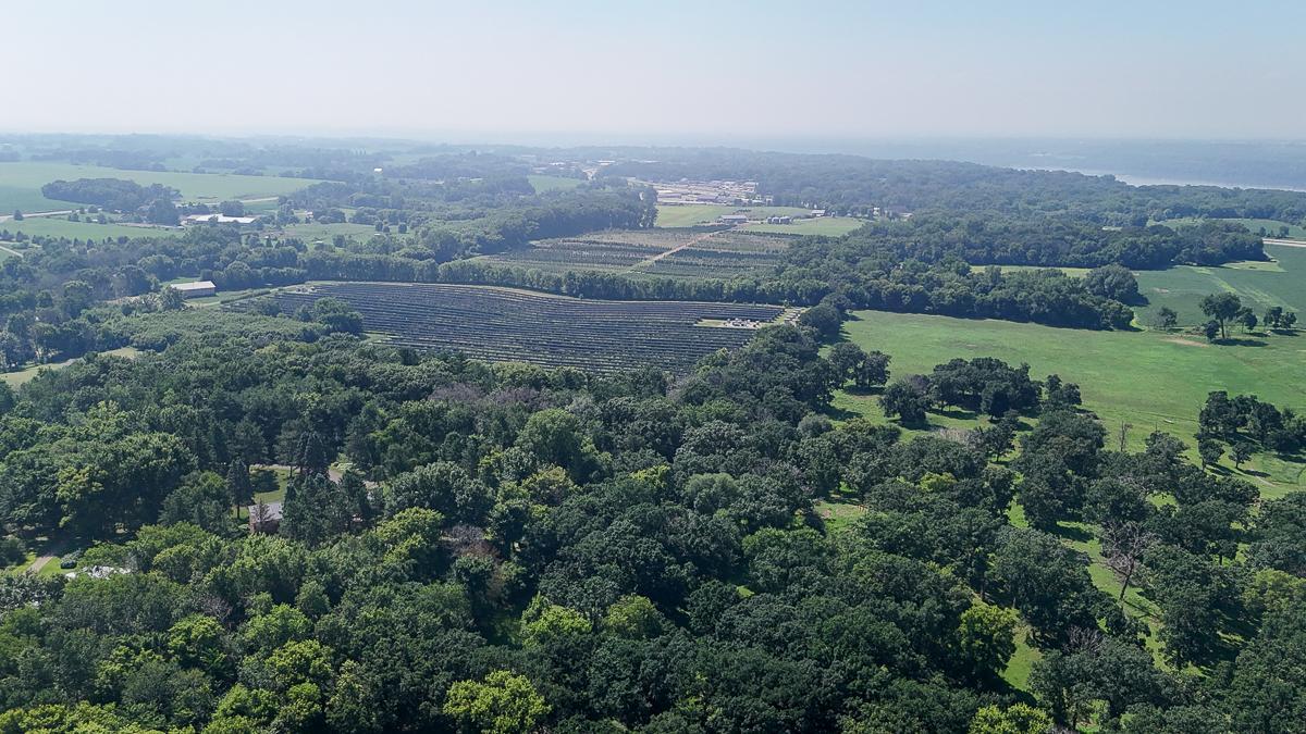 dji_fly_20250714_105748_0609_1752511992758_photo.jpg
