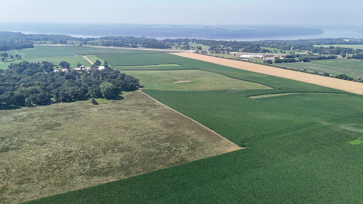 dji_fly_20250714_105658_0604_1752511994003_photo.jpg