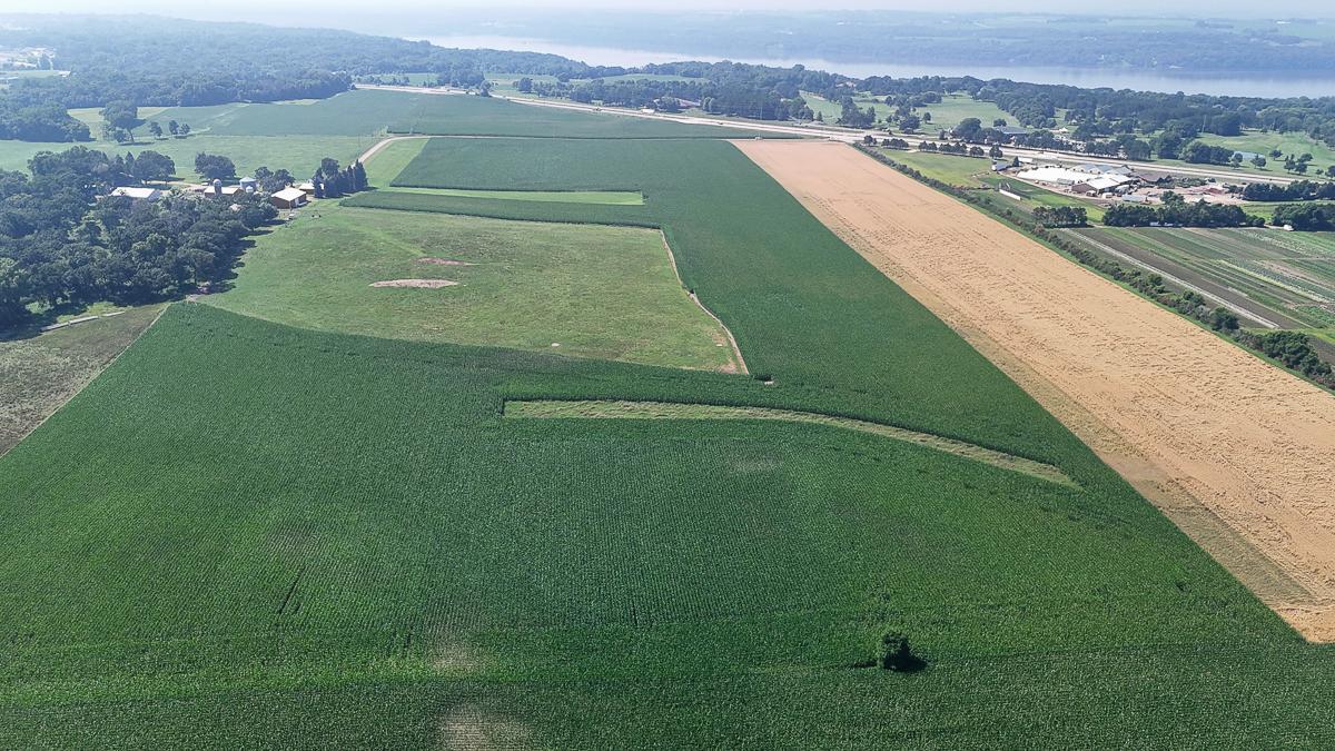 dji_fly_20250714_105614_0600_1752511994539_photo.jpg