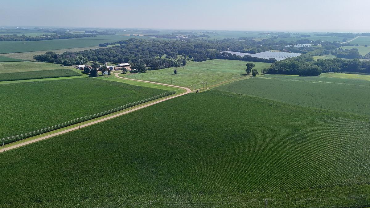 dji_fly_20250714_105150_0590_1752511996922_photo.jpg