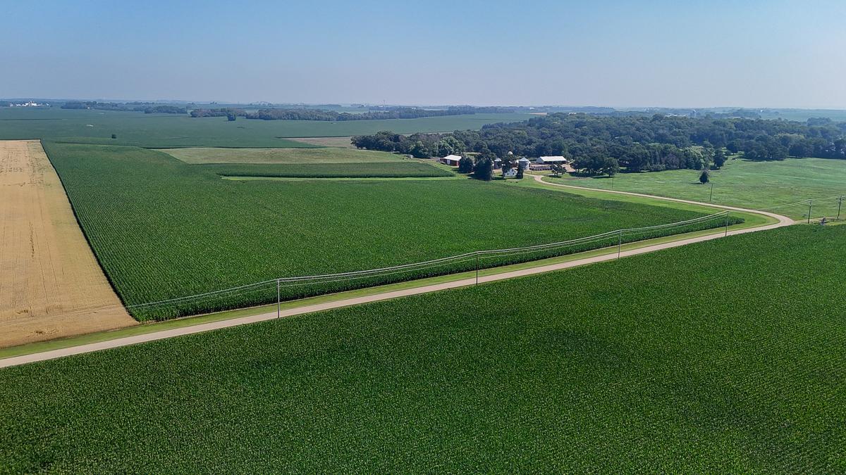 dji_fly_20250714_105108_0586_1752511998177_photo.jpg