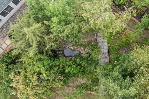 Garden and pond