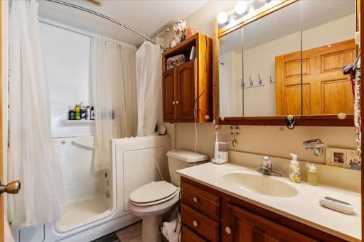 Downstairs walk in tub