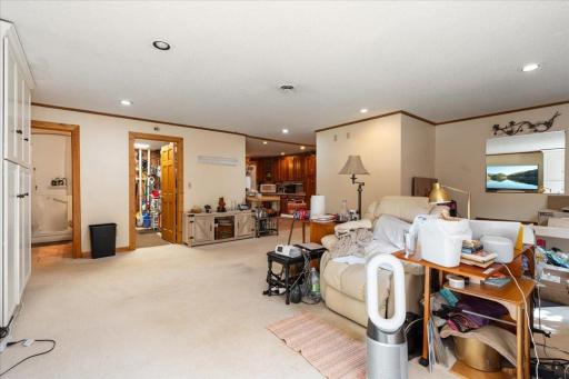 Downstairs living room