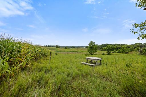 9705 37th Avenue SE, Kandiyohi, MN 56251