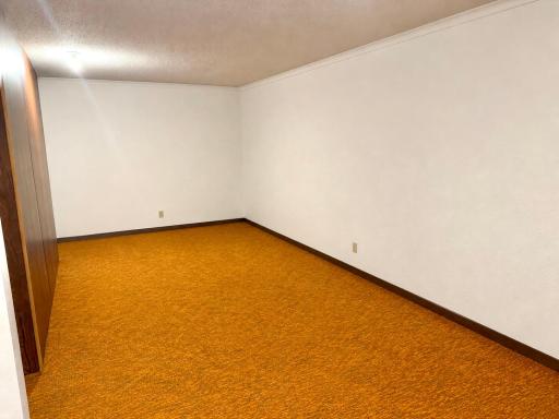 Basement storage (emptied with AI)
