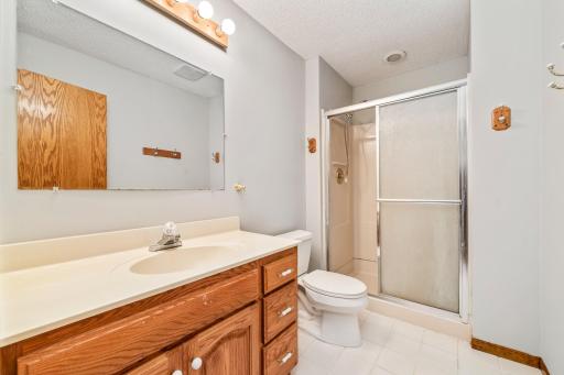 Lower Level Bathroom.jpg