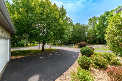 Driveway.jpg