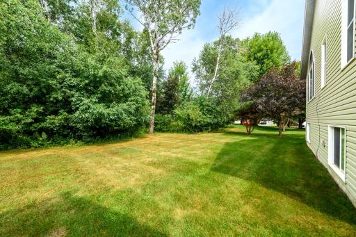 Backyard.jpg