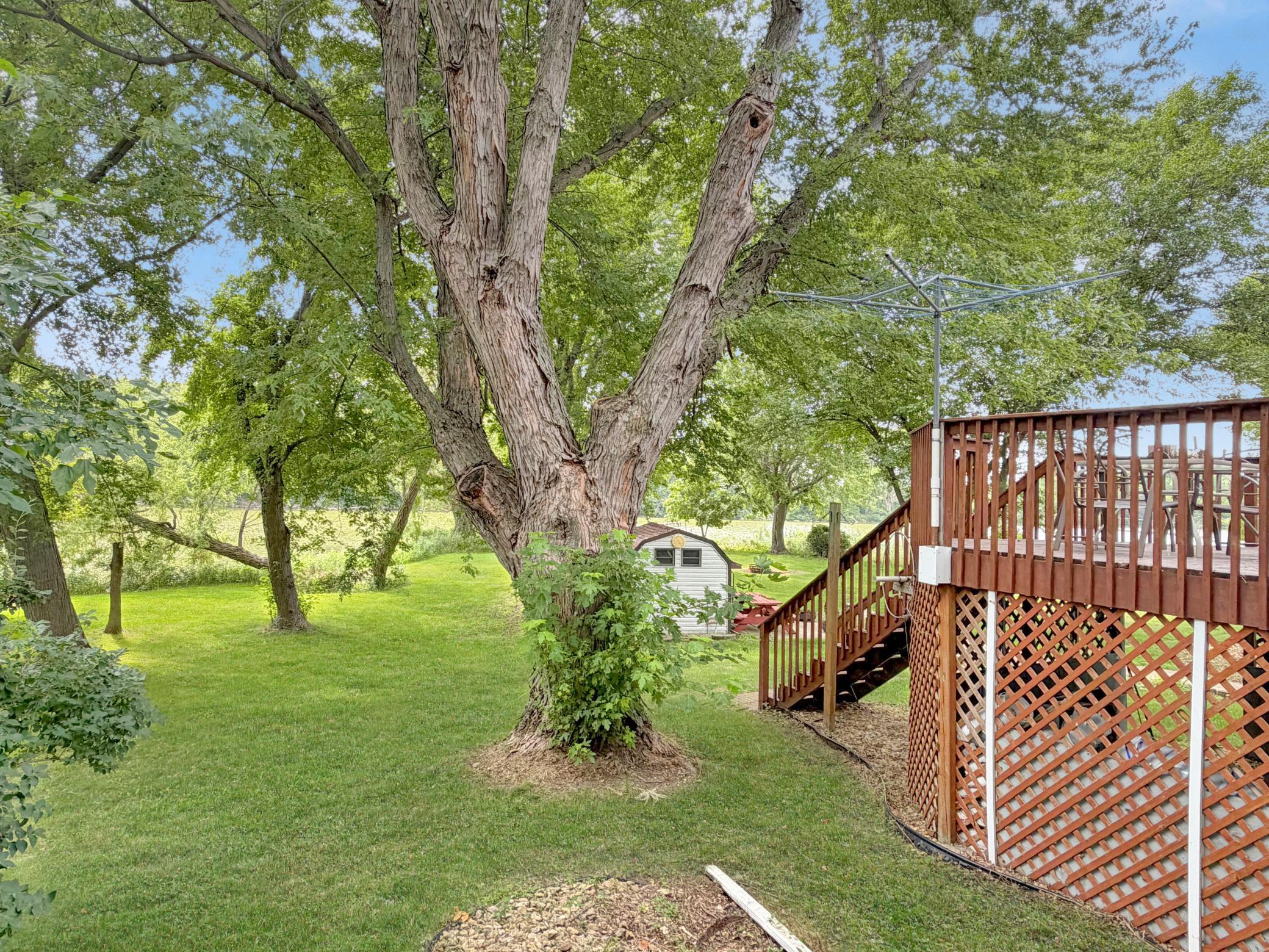 Mature Trees in the backyard