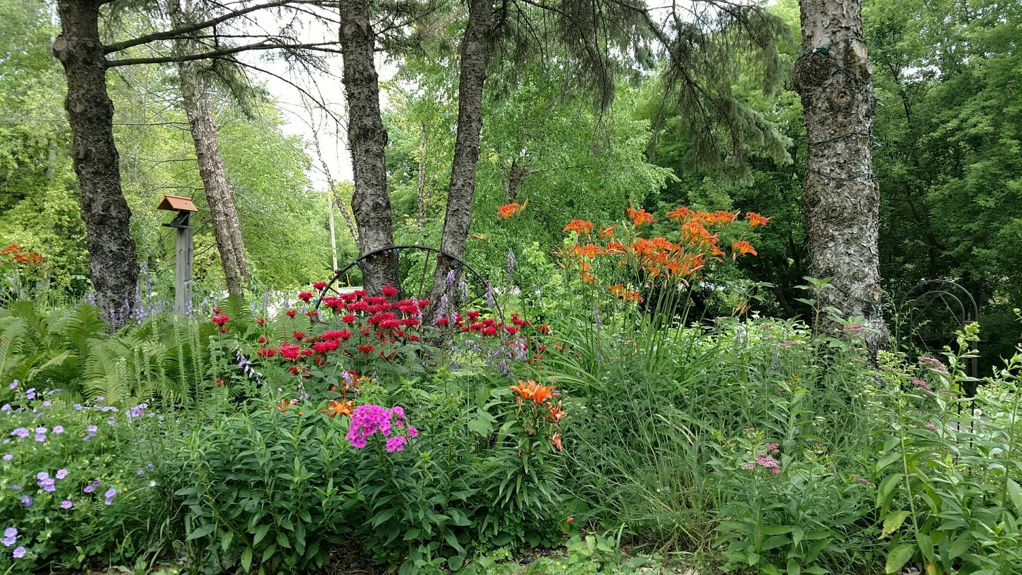 Perennials and beautiful gardens throughout the park, cared for by volunteers