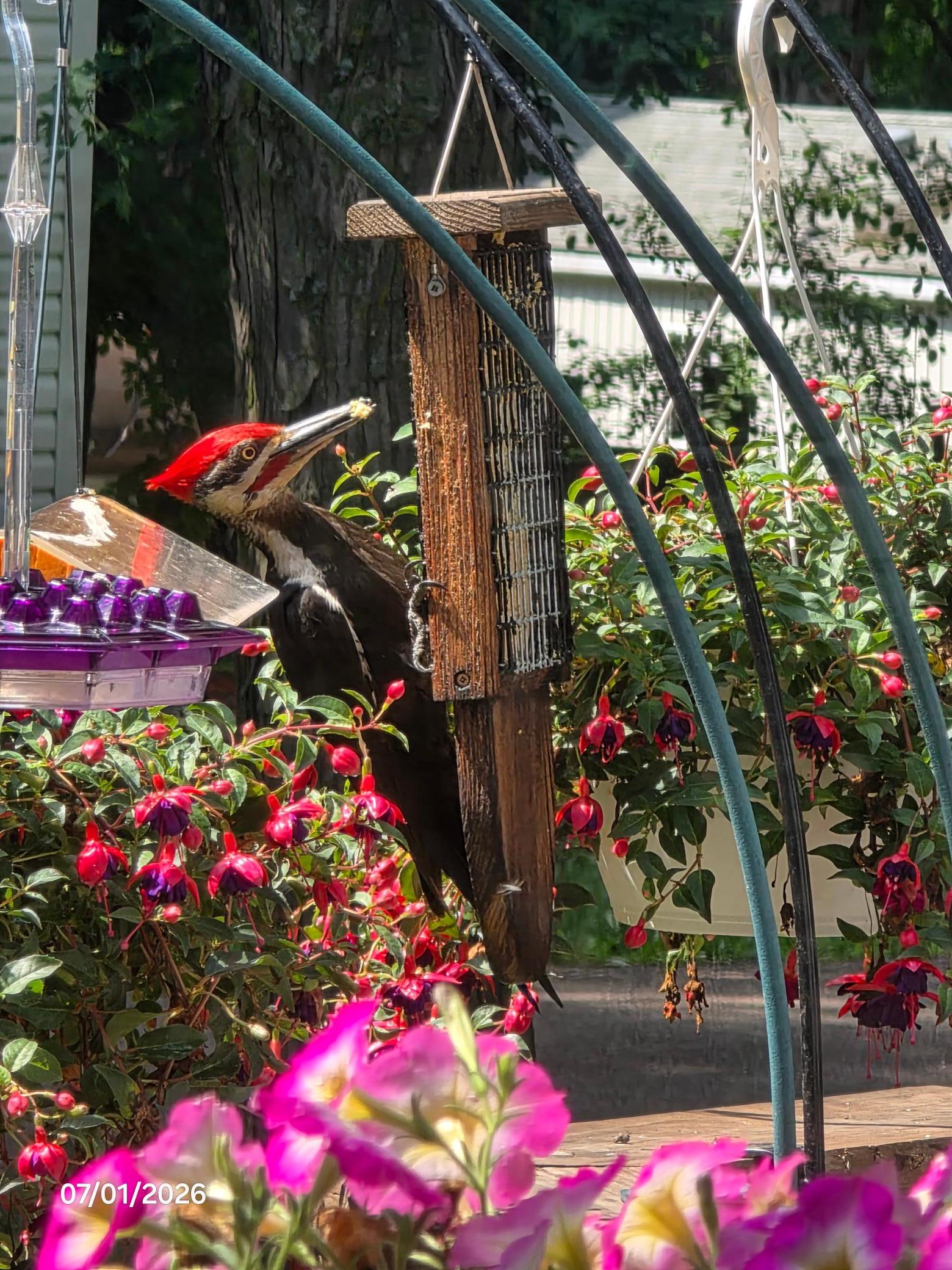All kinds of beauty and nature at Cokato Lake RV Resort