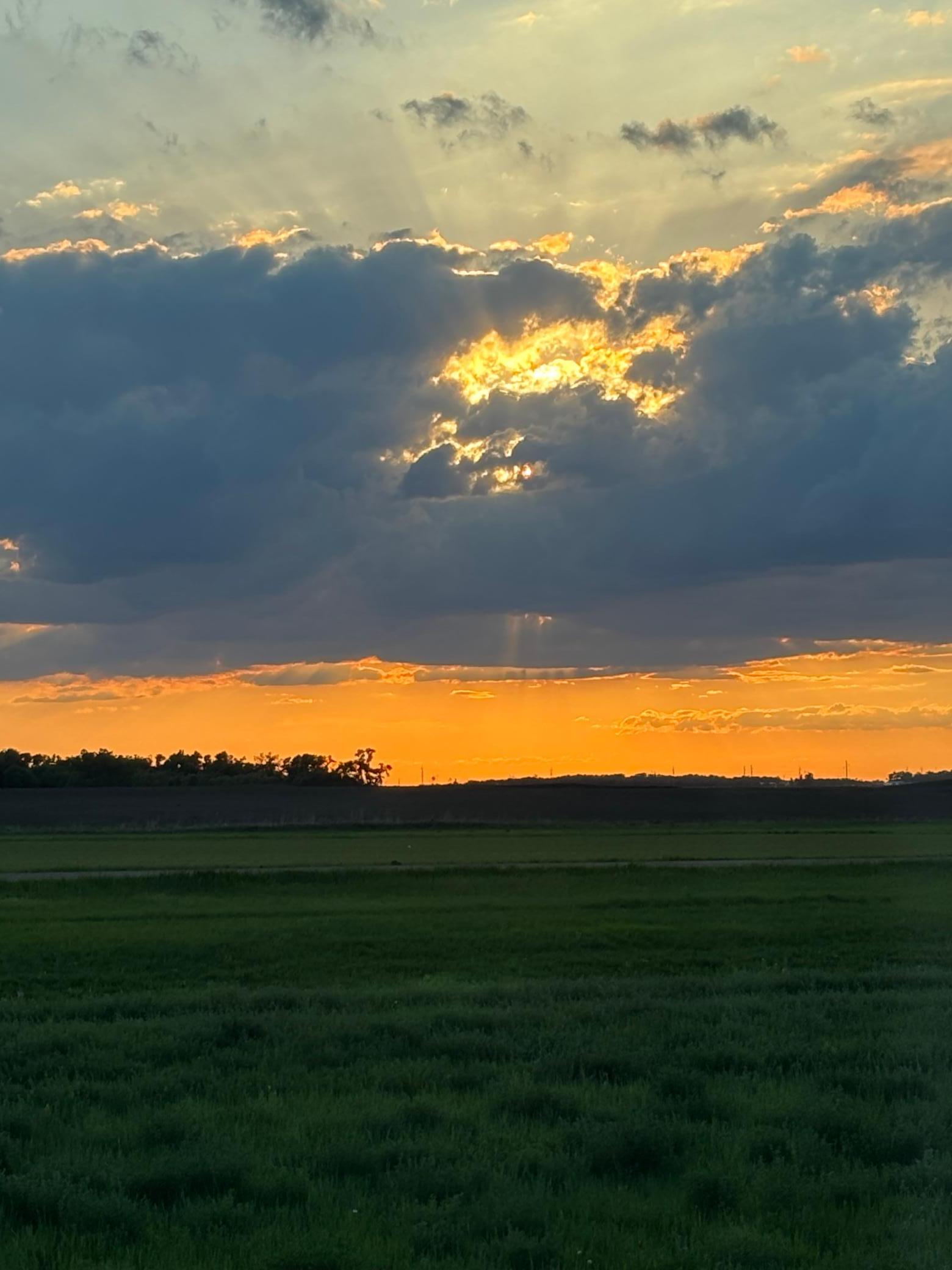 sunset