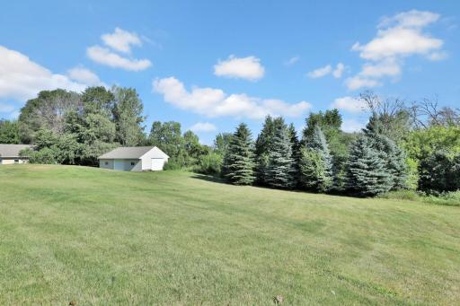 Level to sloping lawn/yard for play.
