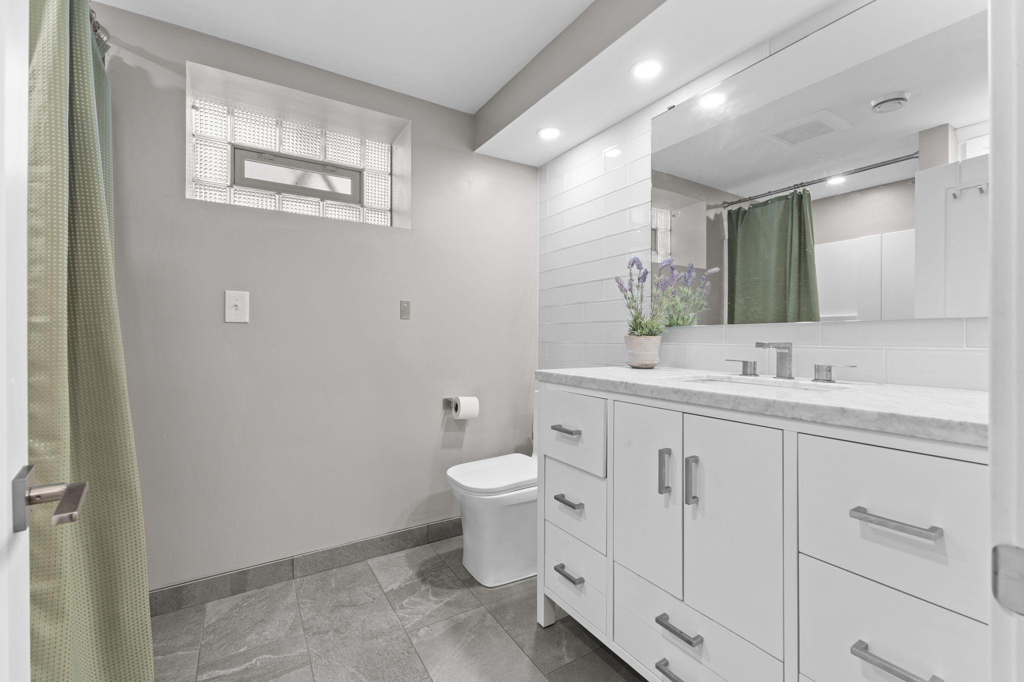Lower Level Bathroom