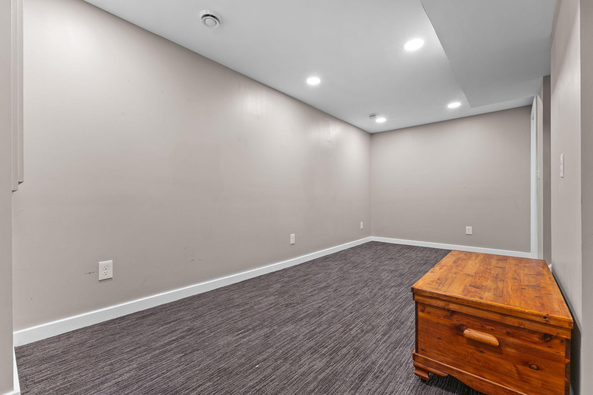 Lower Level Bedroom/Family Room