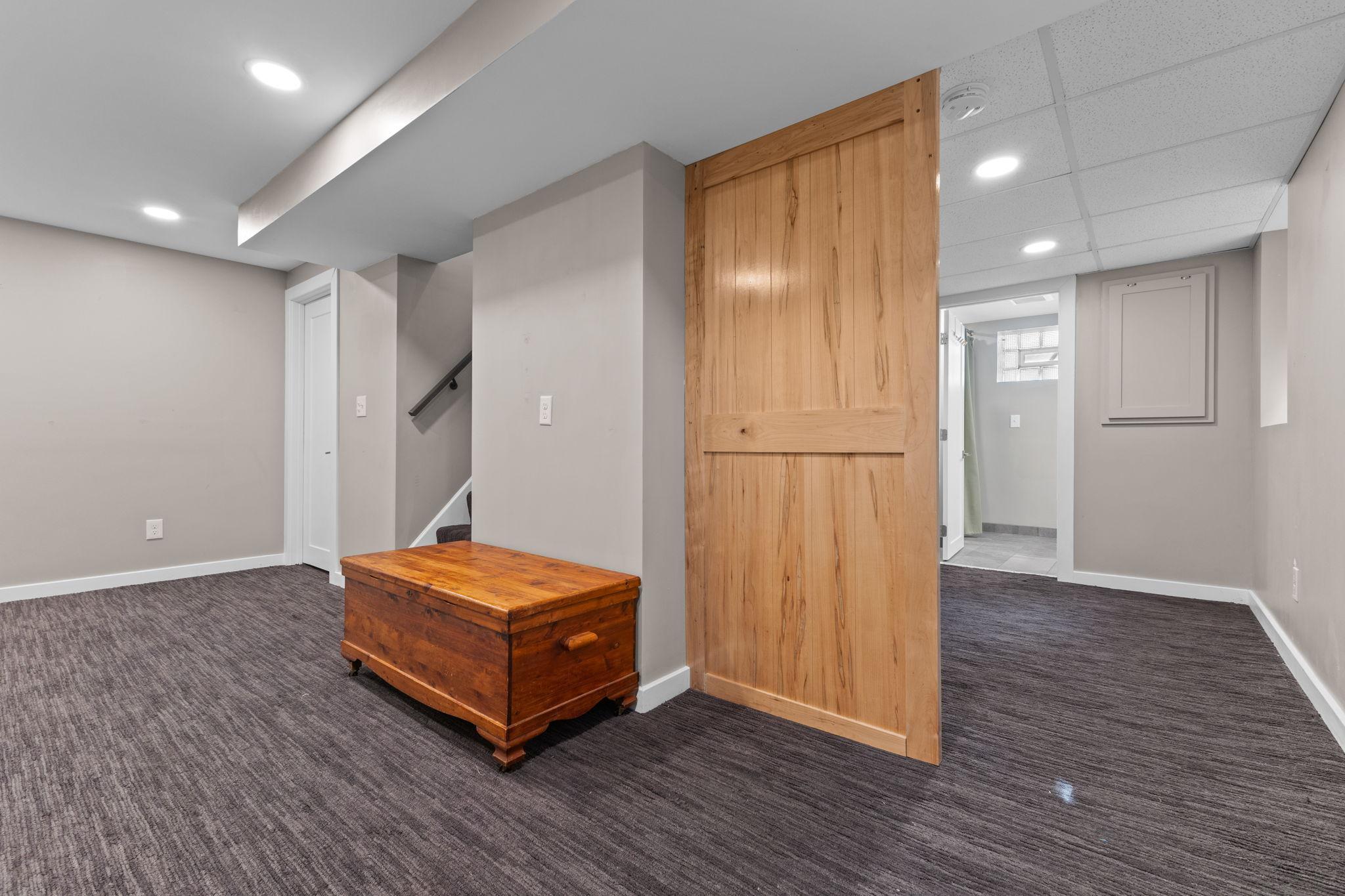 Lower Level Bedroom/Family Room
