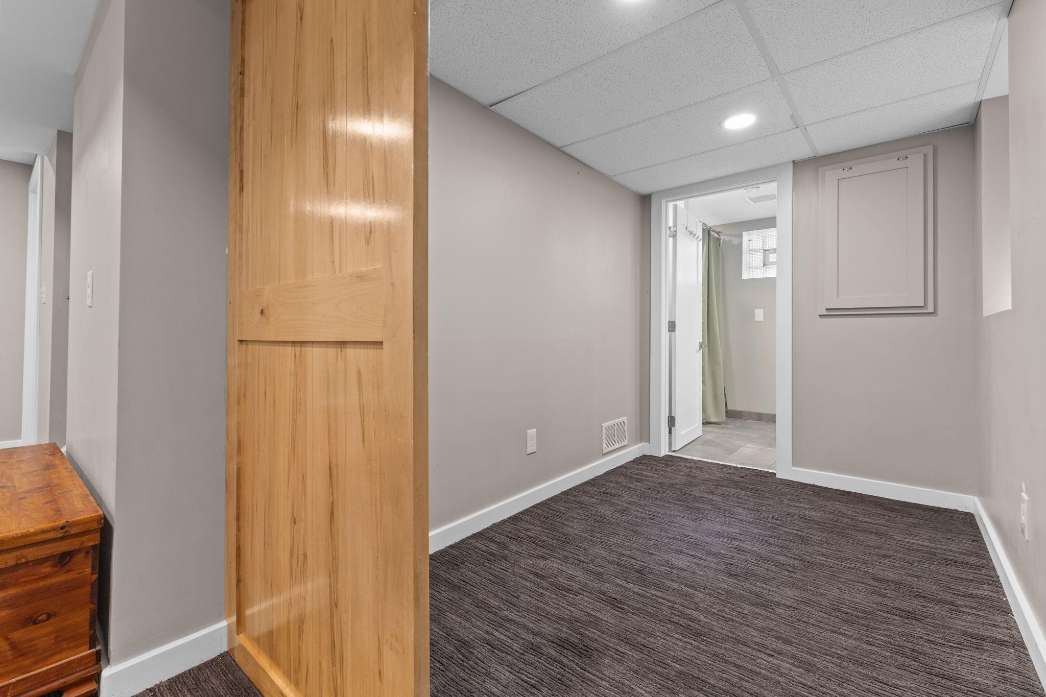 Lower Level Bedroom/Family Room