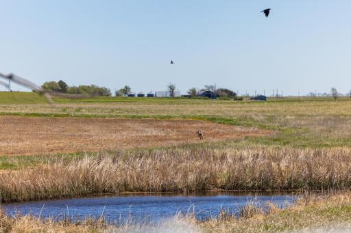 Tbd Sec 24 2 Ave Se Lot 1, ND 58639