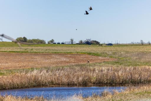Tbd Sec 24 2 Ave Se Lot 1, ND 58639