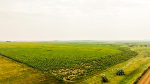 TBD Sec 24 31 St Se Lot 2, ND 58639