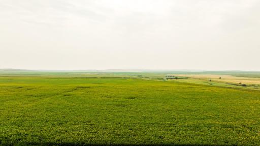 TBD Sec 24 31 St Se Lot 2, ND 58639