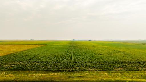 TBD Sec 24 31 St Se Lot 2, ND 58639