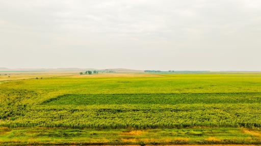 TBD Sec 24 31 St Se Lot 2, ND 58639