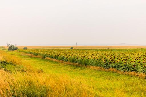TBD Sec 24 31 St Se Lot 2, ND 58639