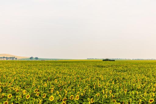 TBD Sec 24 31 St Se Lot 2, ND 58639