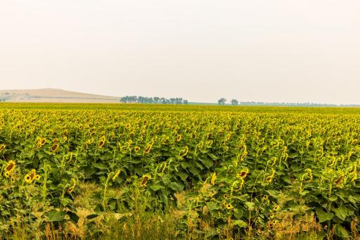 TBD Sec 24 31 St Se Lot 2, ND 58639