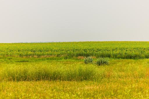 TBD Sec 24 31 St Se Lot 2, ND 58639