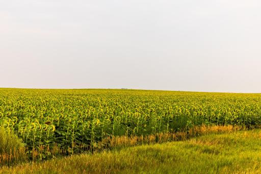 TBD Sec 24 31 St Se Lot 2, ND 58639