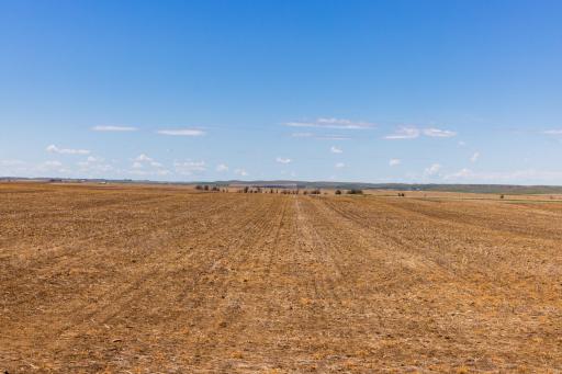 TBD Sec 24 31 St Se Lot 2, ND 58639
